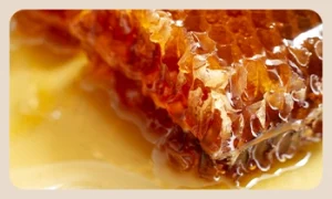 درمان اگزما با عسل طبیعی
